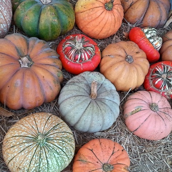 🎯 LISTING FULL 🎯 LISTING FULL 🎯 LISTING FULL🎯 - Picture 5 of 8